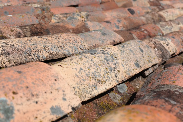 Houston, roof, roof repair
