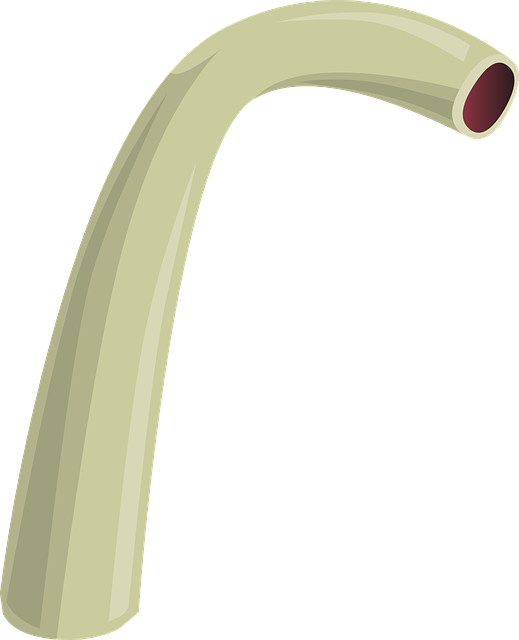 Plumber, plumbing